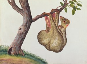 マラッカのアニマス、昆虫、爬虫類の絵、1805-18年頃の幼い子供と一緒にマウカウコを飛ばす（1805-18年頃）（紙とガッシュ紙） 作： Chinese School